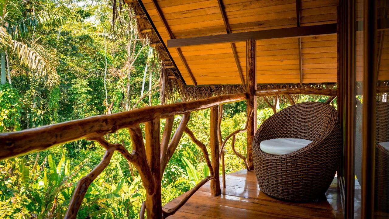 Suchipakari Amazon Eco -Lodge&Jungle Reserve Puerto Misahuallí Exterior foto