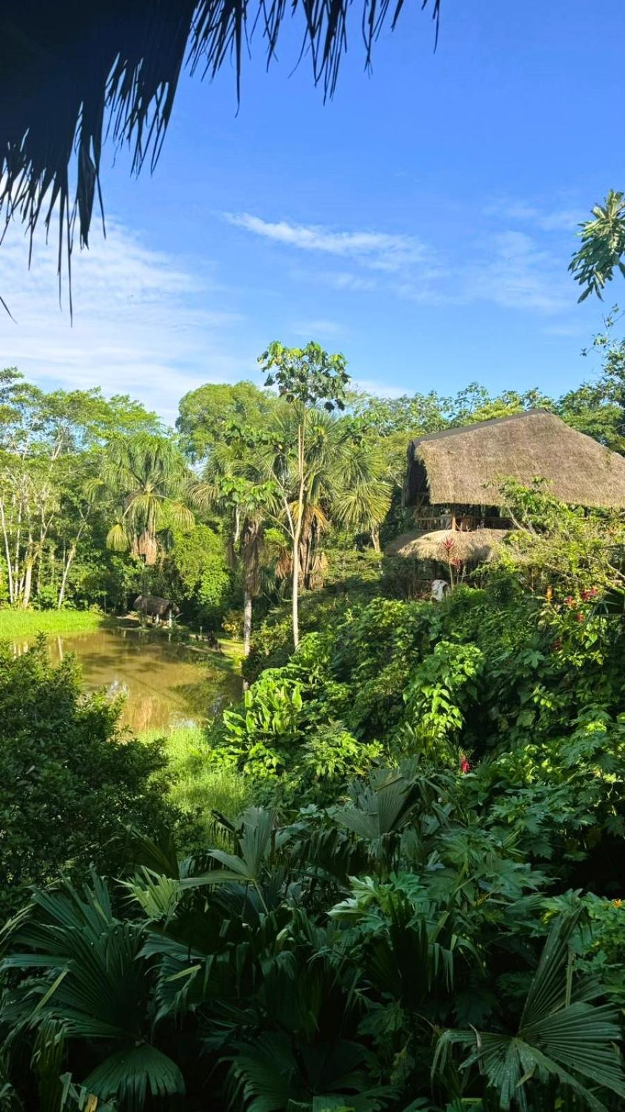 Suchipakari Amazon Eco -Lodge&Jungle Reserve Puerto Misahuallí Exterior foto