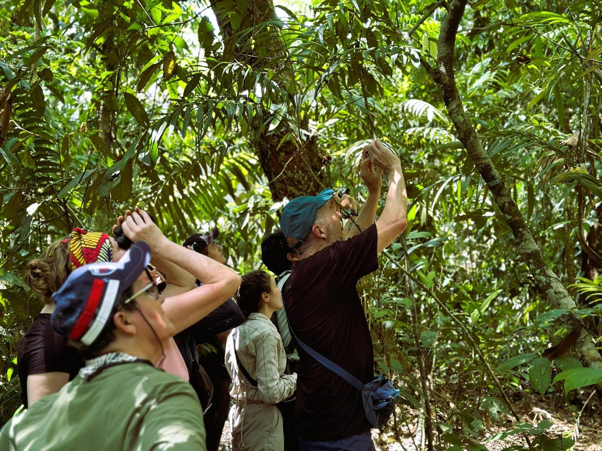 Suchipakari Amazon Eco -Lodge&Jungle Reserve Puerto Misahuallí Exterior foto